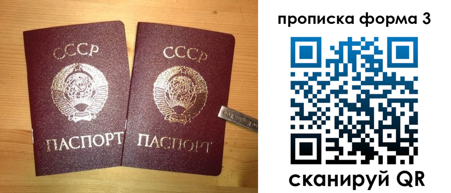 прописка иностранных граждан в Краснозаводске